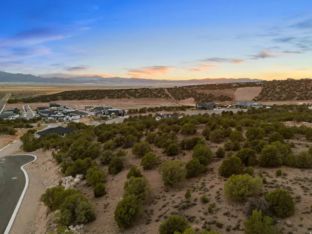 Expansive desert landscape featuring natural foliage and distant mountain ranges