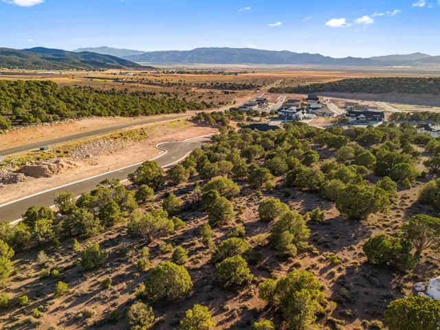 Expansive land parcel featuring natural, untouched terrain and mature trees