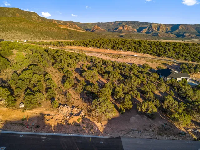 Expansive raw land parcel featuring natural desert vegetation