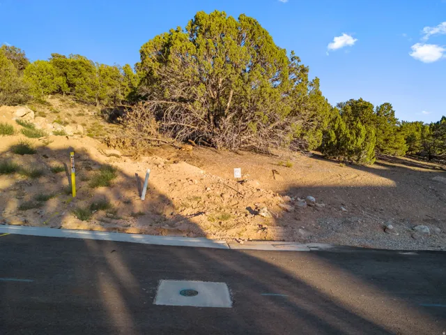 Paved street frontage with curb cut, featuring a sloped lot with mature trees and natural landscaping