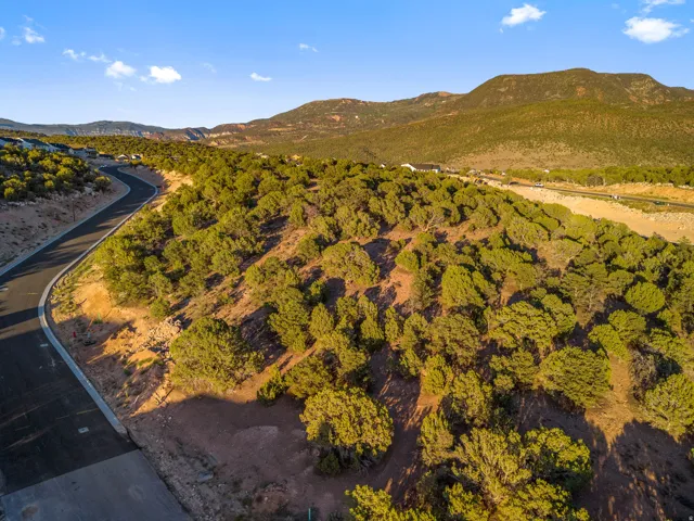 Winding asphalt road through a treed, mountainous landscape, featuring natural vegetation and distant hills