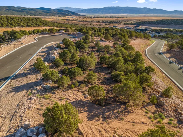 Expansive undeveloped land featuring mature trees and natural terrain