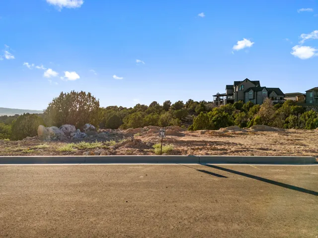 Raw land parcel featuring a paved road frontage and curb