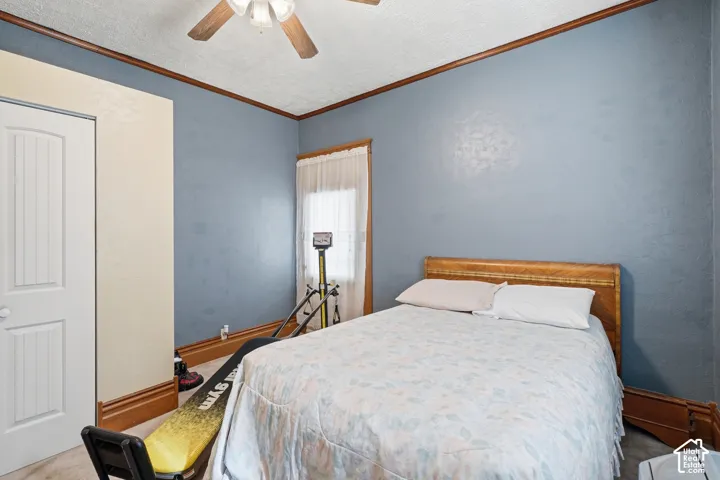 Bedroom featuring a ceiling fan, light blue walls, and warm wood trim