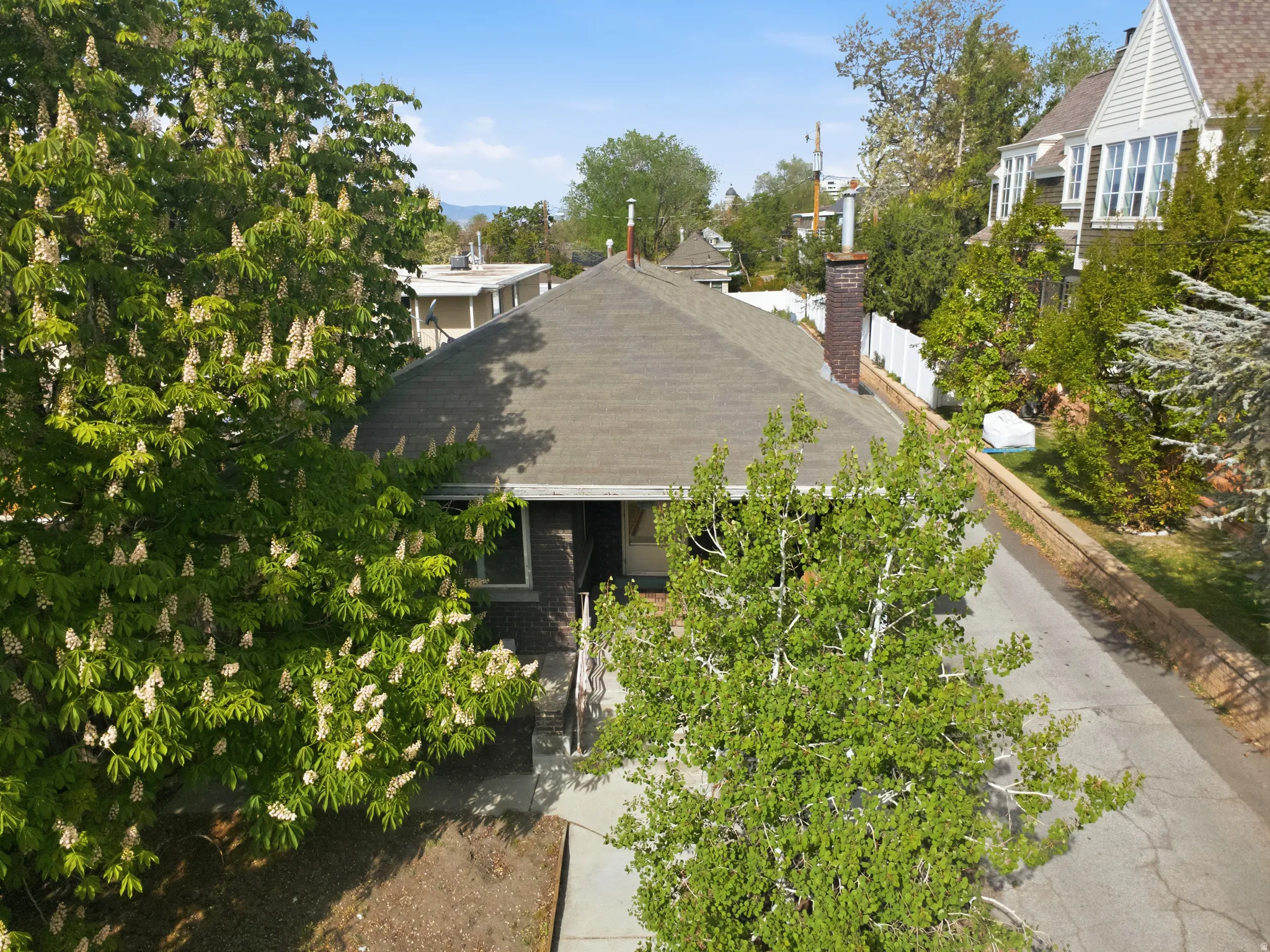 Aerial view of a tree filled landscape