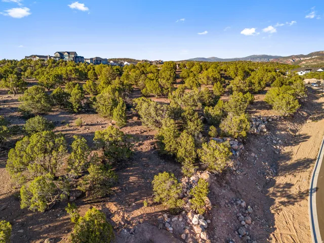 Expansive sloped terrain featuring mature evergreen trees and natural rock formations