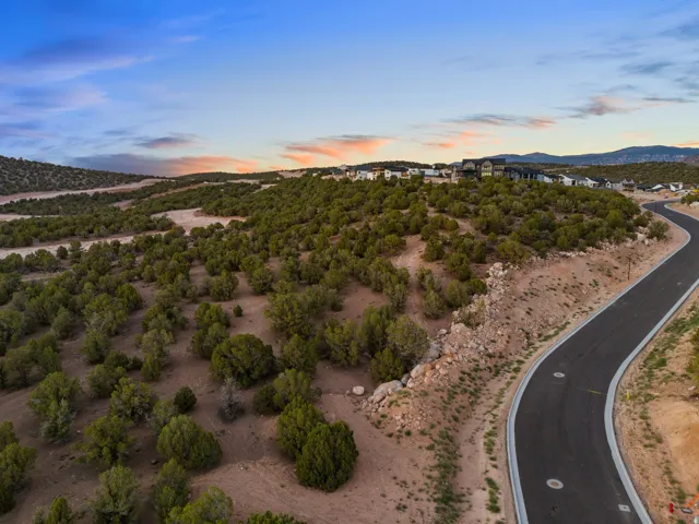 Expansive undeveloped land featuring natural desert vegetation, rolling terrain, a paved road with curb and gutter, and distant residential structures