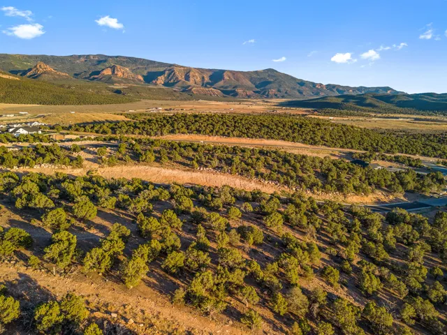 Expansive natural landscape featuring rolling hills and abundant green foliage