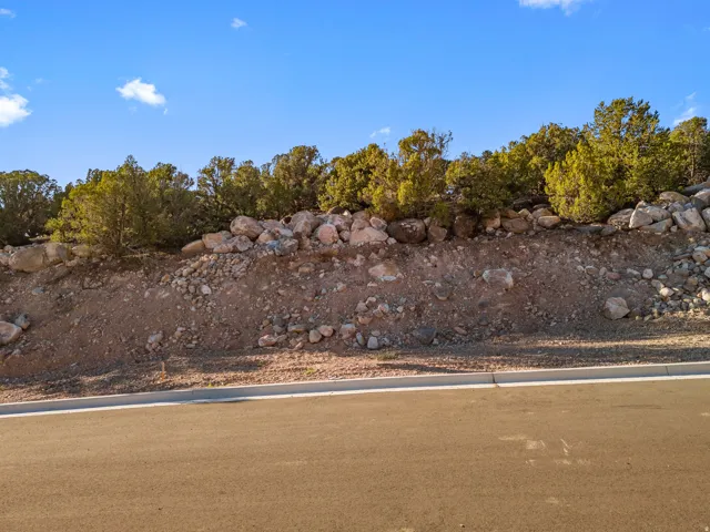 Paved road with a concrete curb bordering a natural, sloped terrain featuring scattered rocks and mature evergreen trees