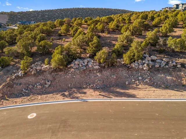 Expansive undeveloped lot featuring a paved road frontage, natural rock formations, and mature evergreen vegetation