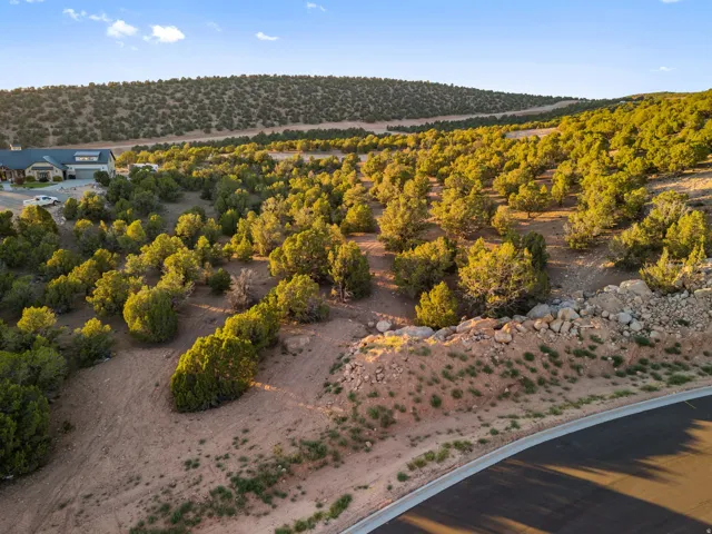 Expansive natural landscape featuring a paved road, scattered rocks, and abundant green trees