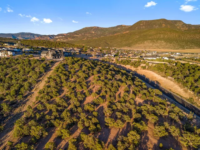 Expansive elevated property featuring abundant natural vegetation and a distant mountain backdrop