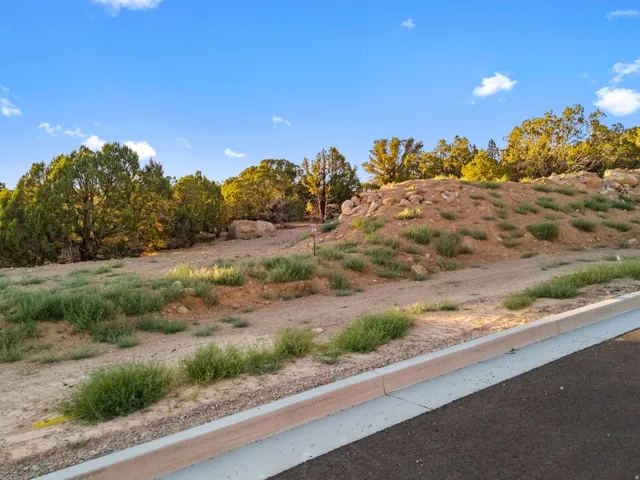 Unimproved parcel featuring a concrete curb, paved street, natural vegetation, and mature trees against a clear sky