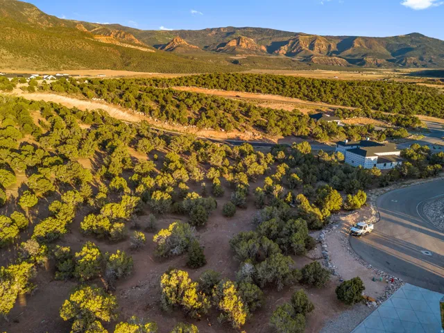 Expansive natural landscape with mature trees and visible mountain range backdrop