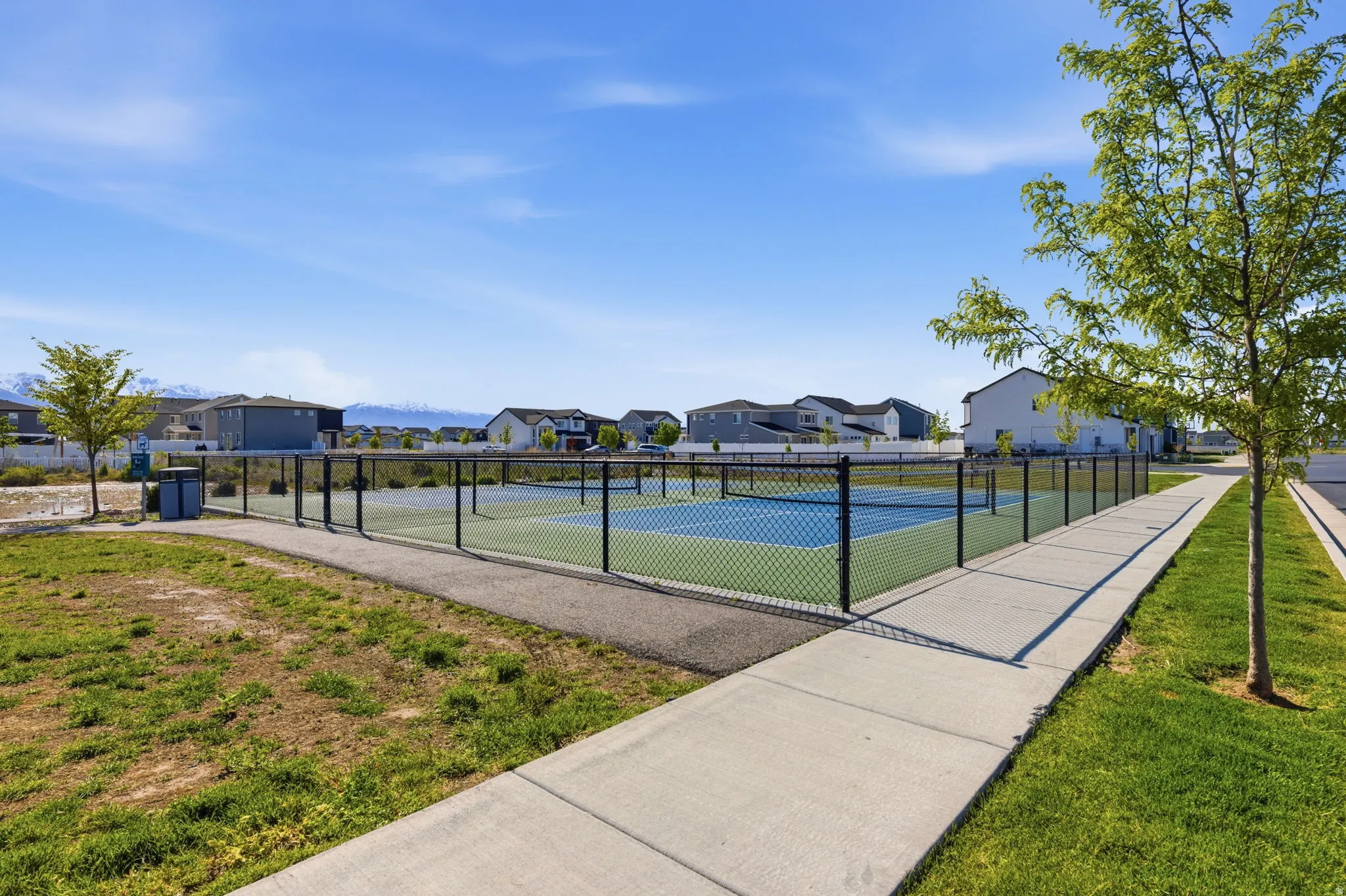 Pickleball Court