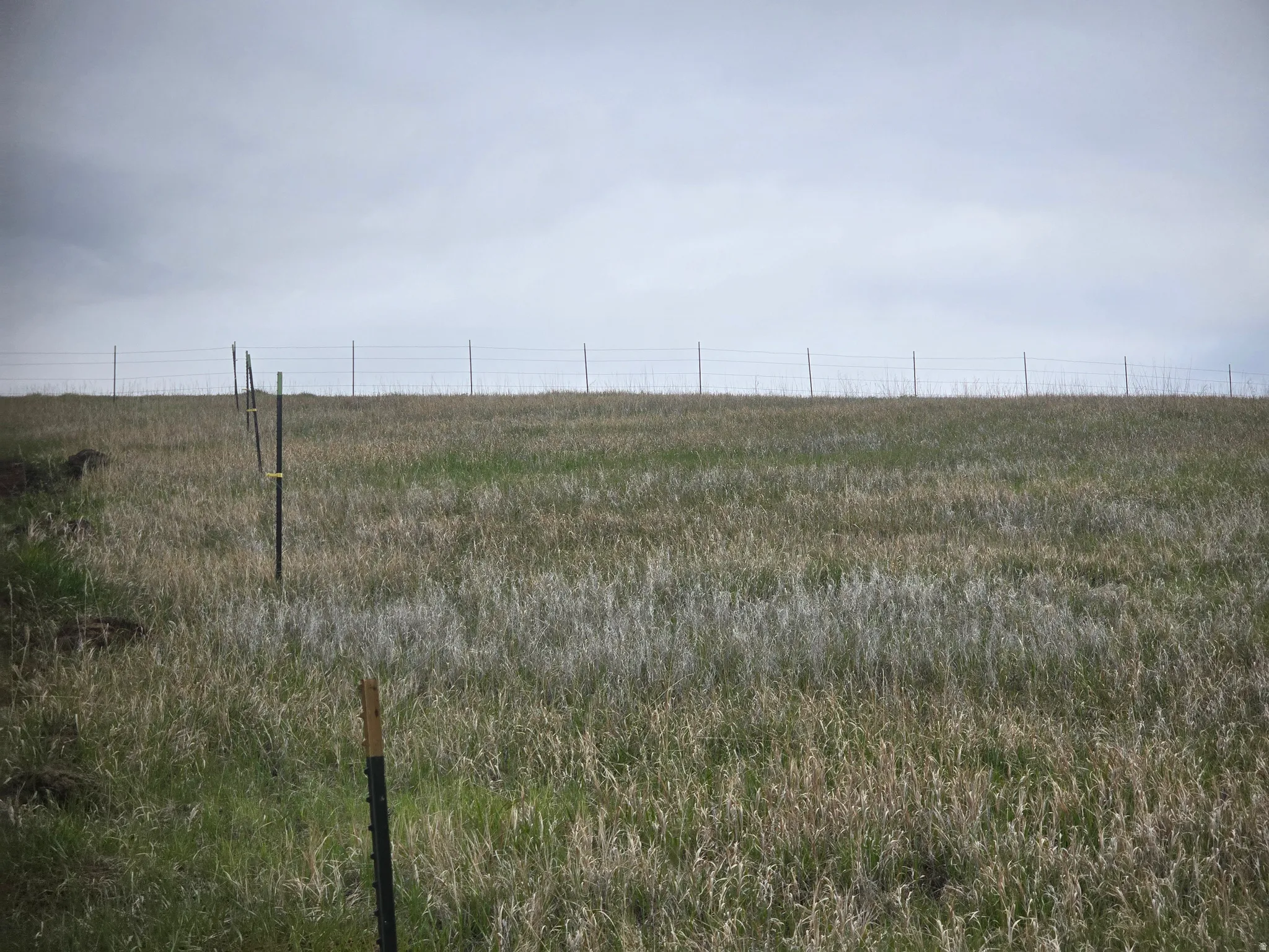 View of yard with a rural view
