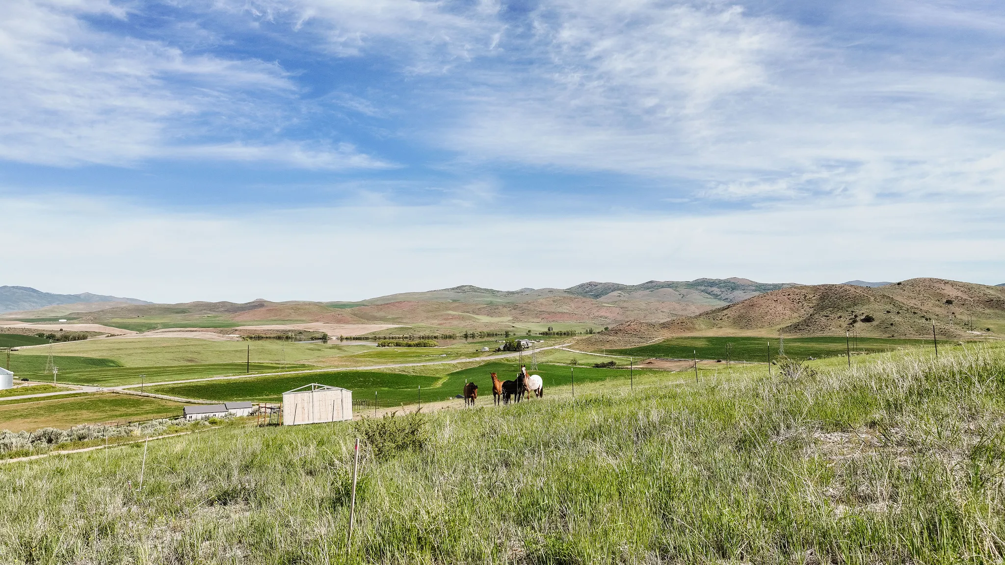 Expansive green landscape featuring rolling hills, distant structures, and open skies