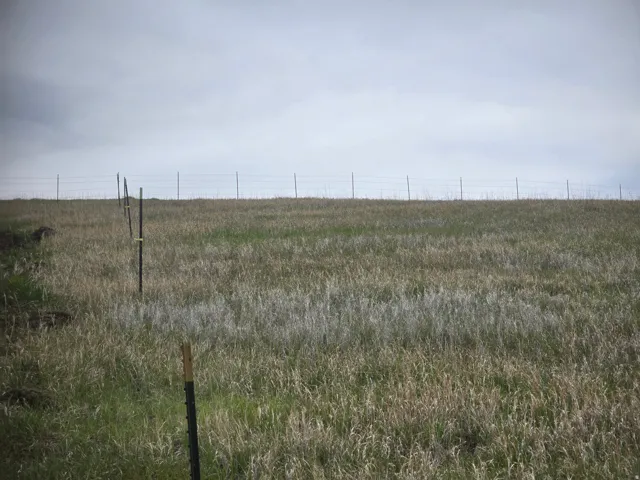 View of yard with a rural view