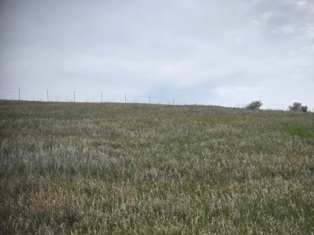 View of nature featuring rural landscape