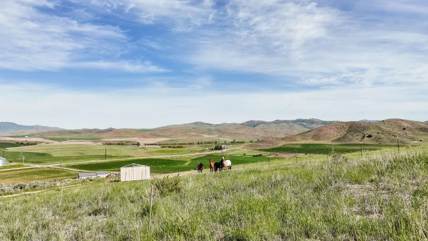 Expansive green landscape featuring rolling hills, distant structures, and open skies