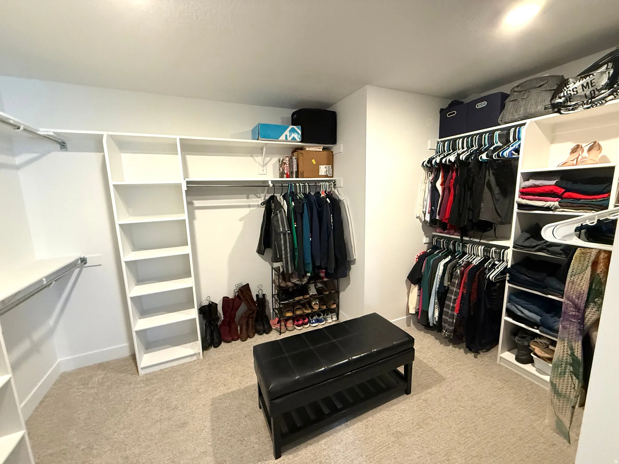 Walk in closet featuring light carpet