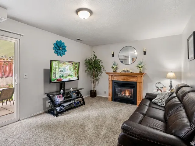 Living room with a glass covered fireplace, carpet flooring, and a textured ceiling