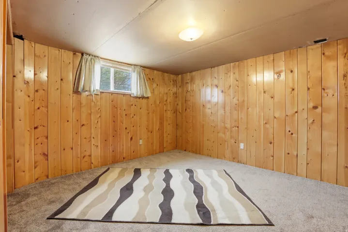 Carpeted spare room featuring wooden walls