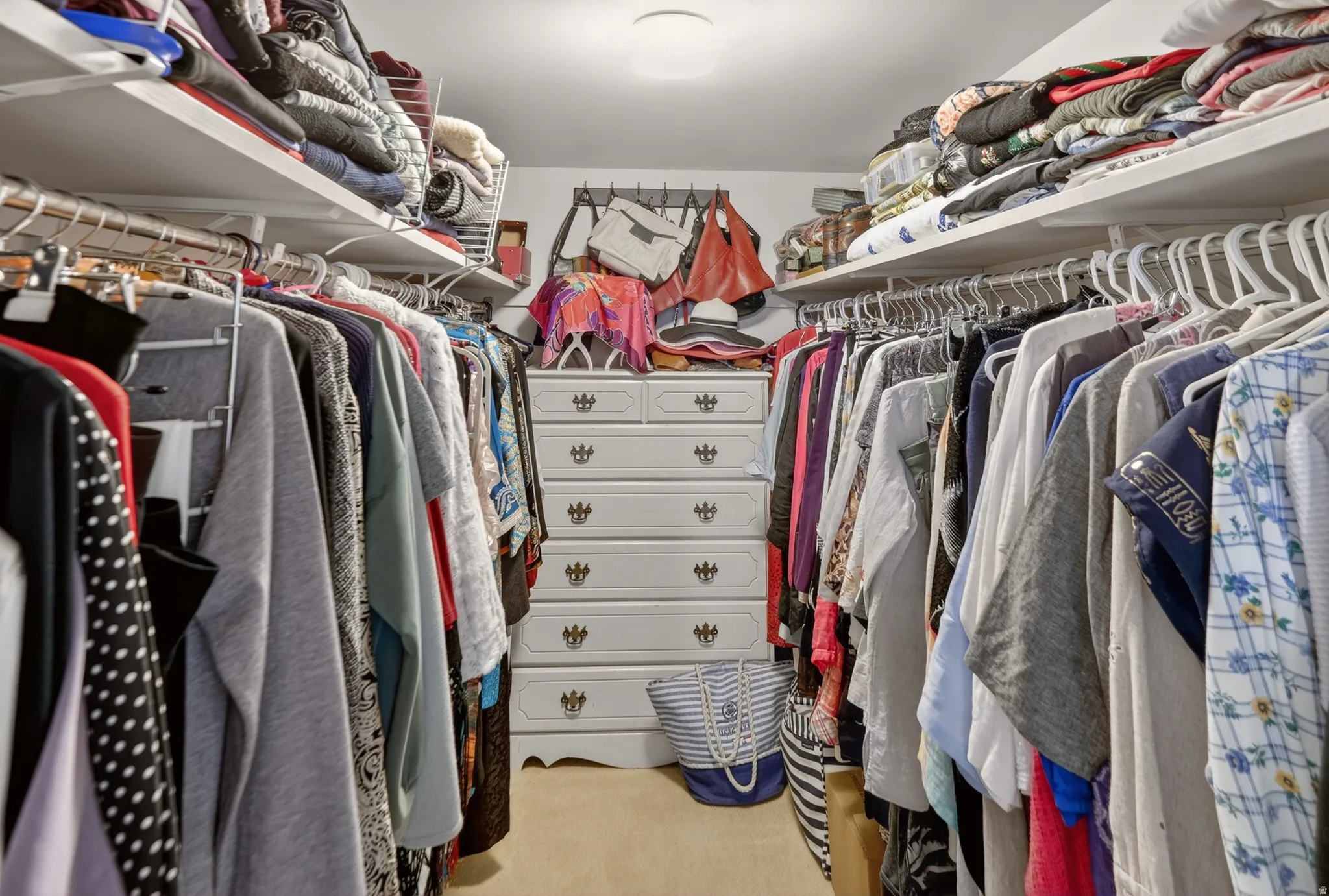 Walk in closet with light carpet