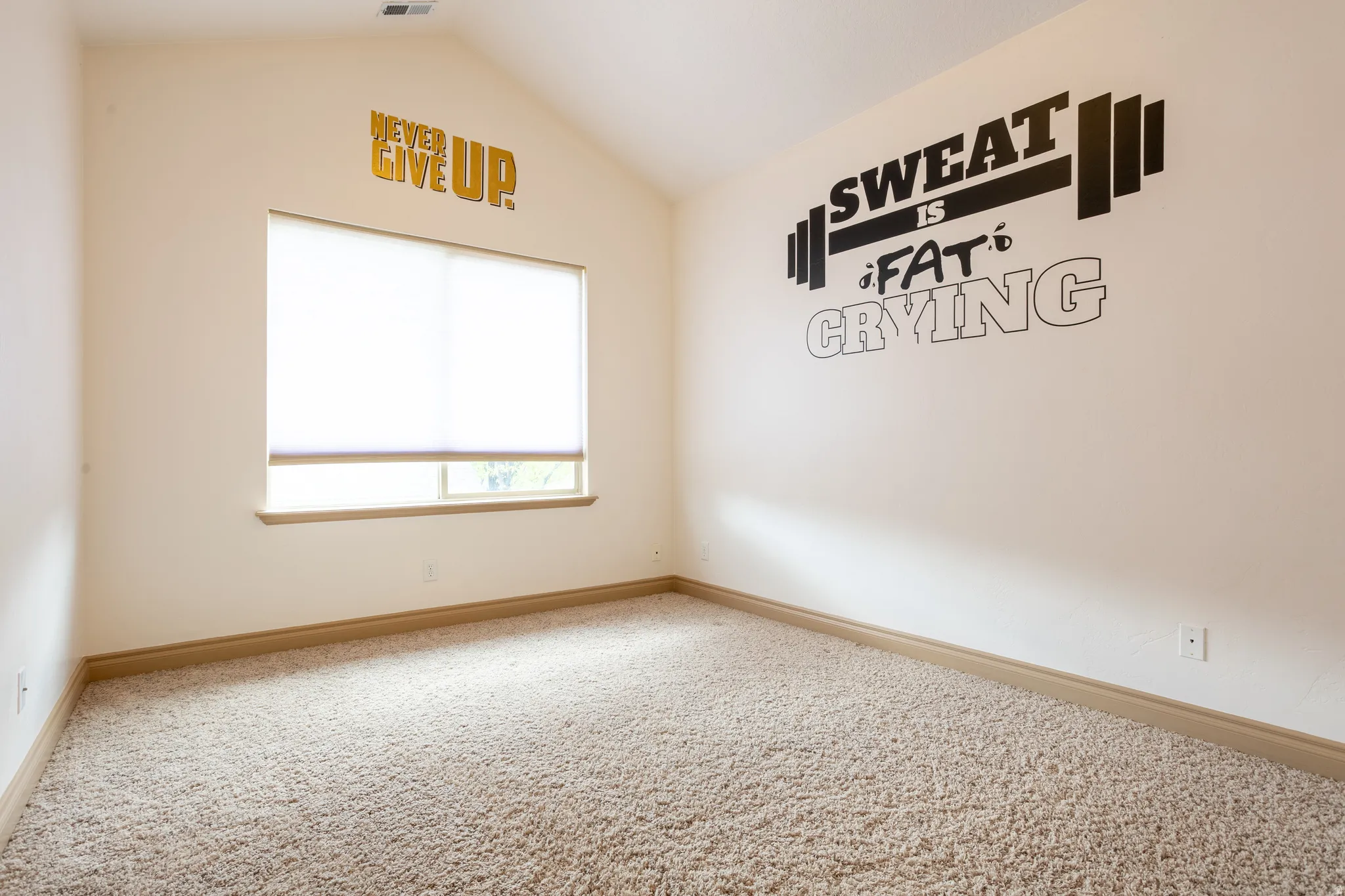 Unfurnished room with lofted ceiling and light carpet