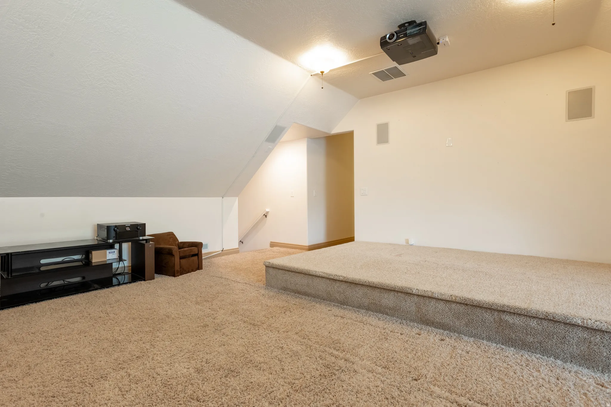 Bonus room featuring carpet