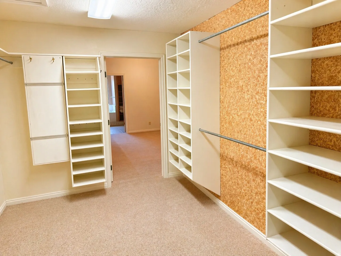 Walk in closet with light carpet