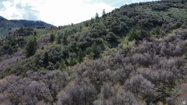 Mountain view with a heavily wooded area