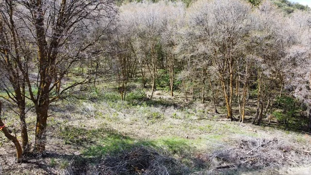 View of undeveloped land