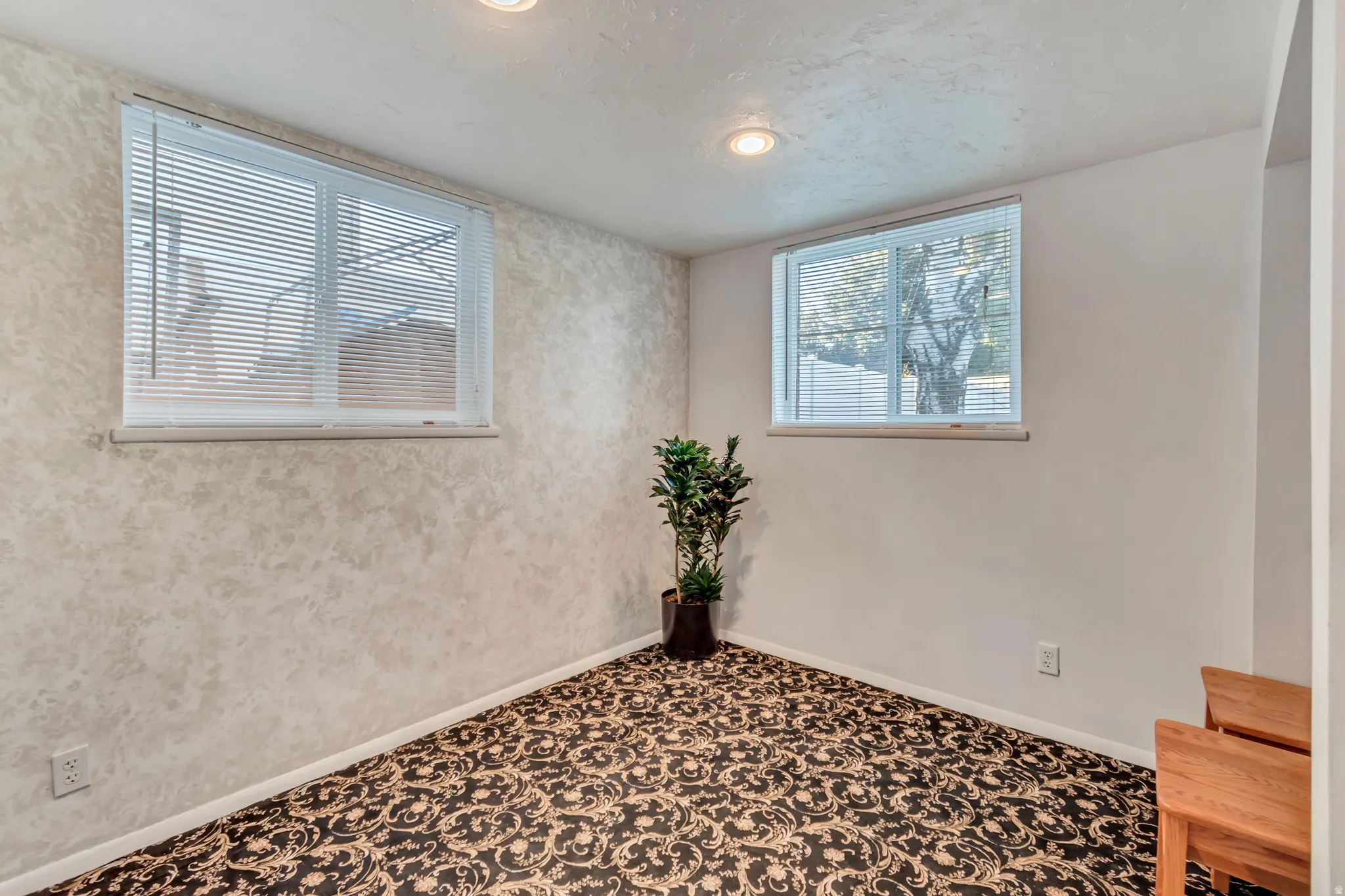 Basement bedroom with plenty of natural light and above-ground windows.