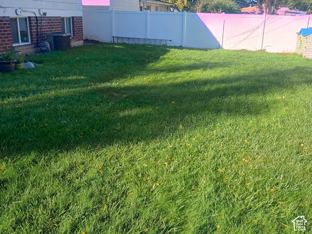 Backyard thicker and greener than ever.   Note the old tree has been removed recently.