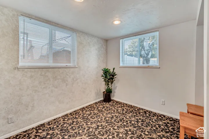 Basement bedroom with plenty of natural light and above-ground windows.