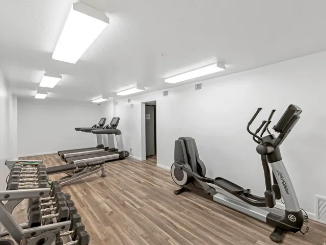 Communal fitness area