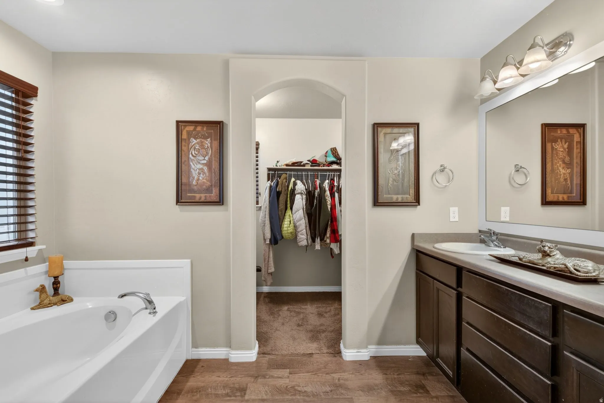 Bathroom with vanity, dark wood finished floors, a bath, and a spacious closet