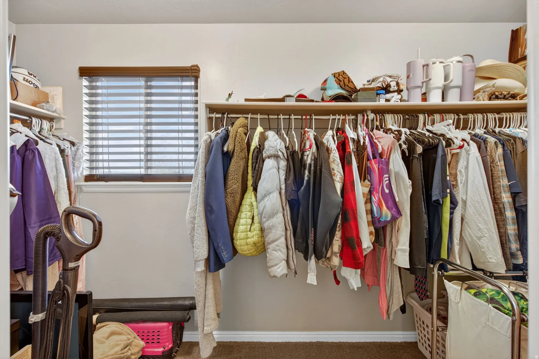 Walk in closet with carpet