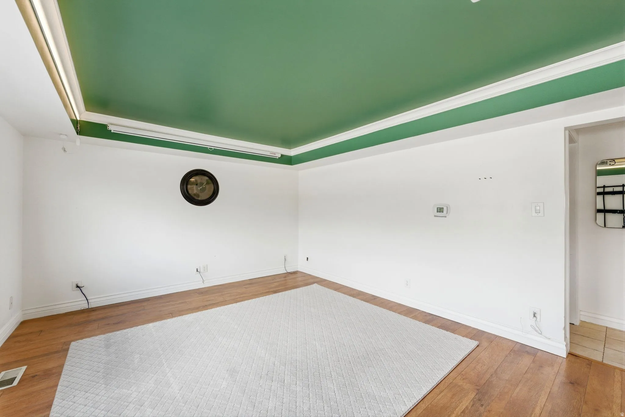 Spare room featuring a raised ceiling and light wood-style flooring