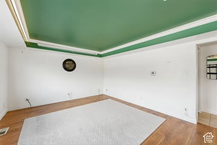 Spare room featuring a raised ceiling and light wood-style flooring