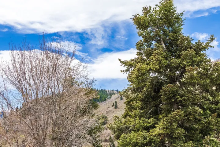 60 Prospect Ave, Park City, Utah 84060