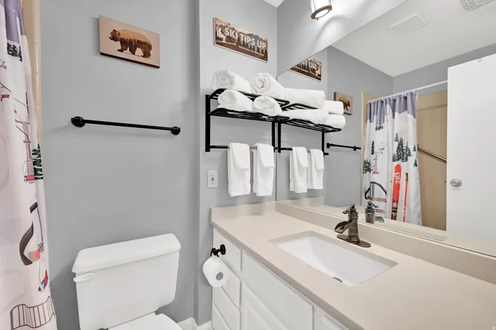 Bathroom featuring a shower with curtain and vanity