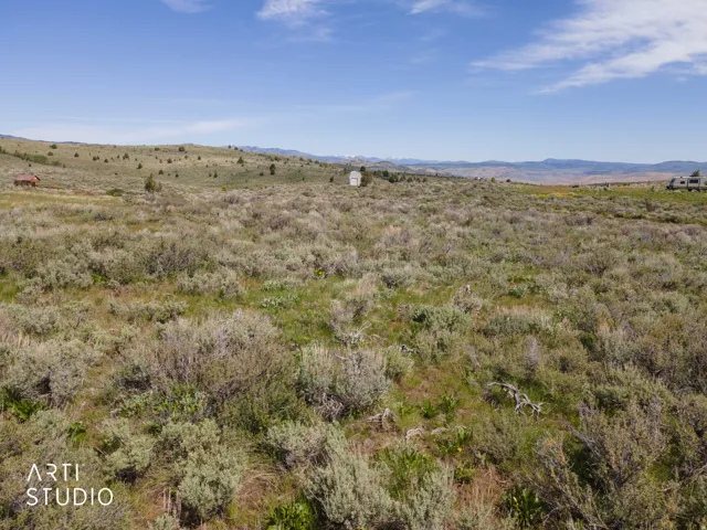 Expansive natural landscape featuring varied green foliage and distant mountain ranges