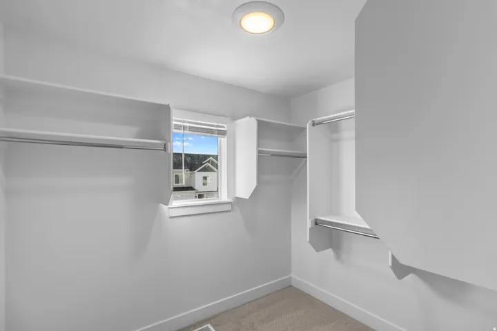 Walk in closet with carpet floors