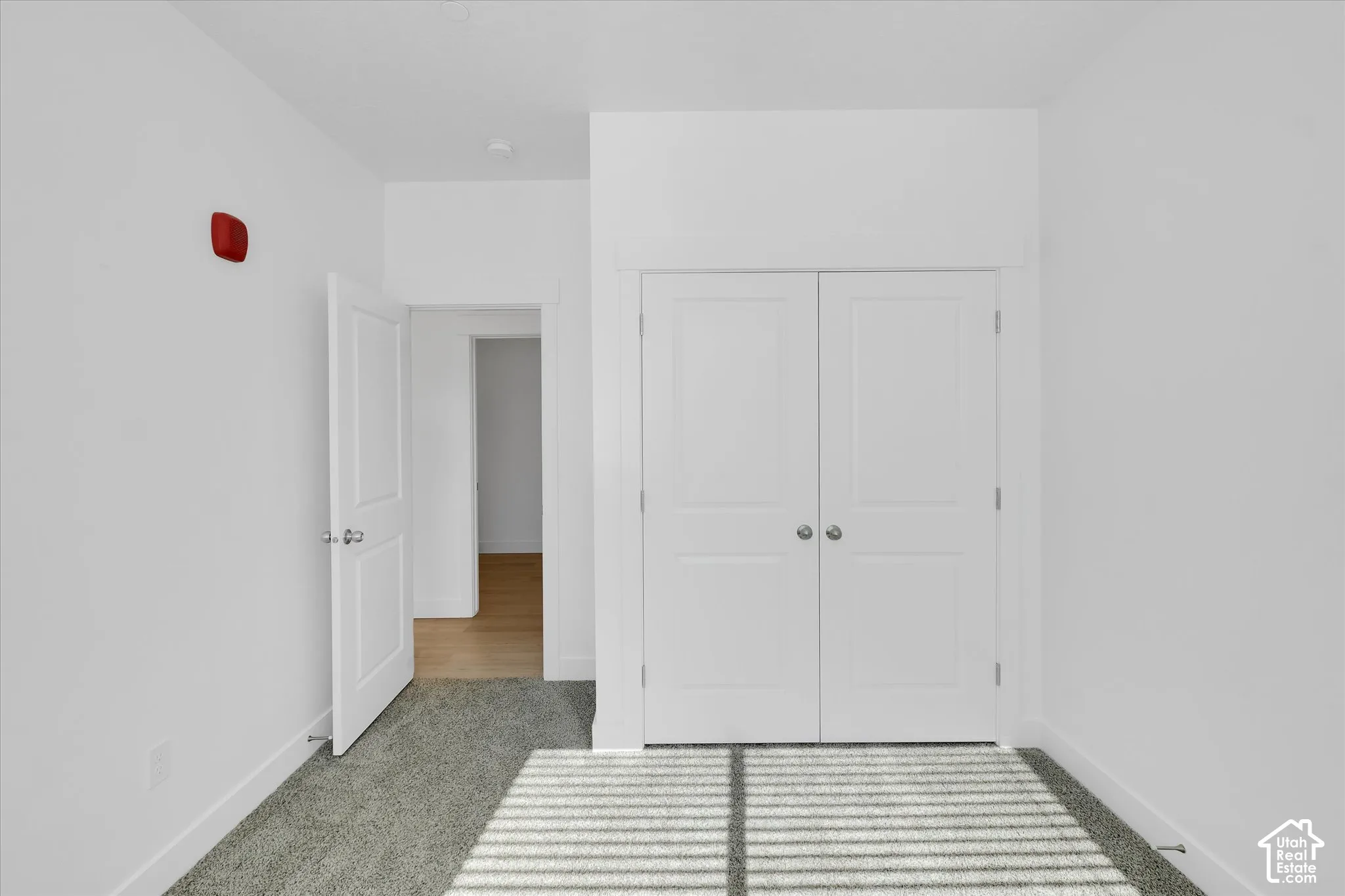 Interior space featuring neutral wall-to-wall carpeting, double-panel closet doors, and solid-core interior doors