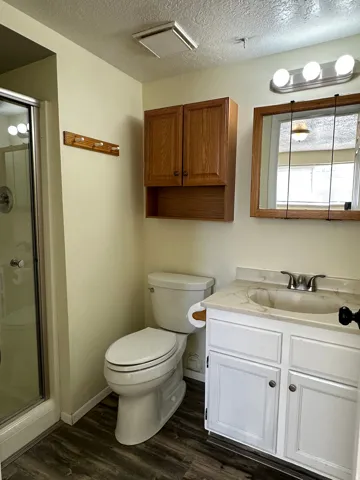 Full bathroom featuring a stall shower, dark wood-style floors, vanity, and a textured ceiling