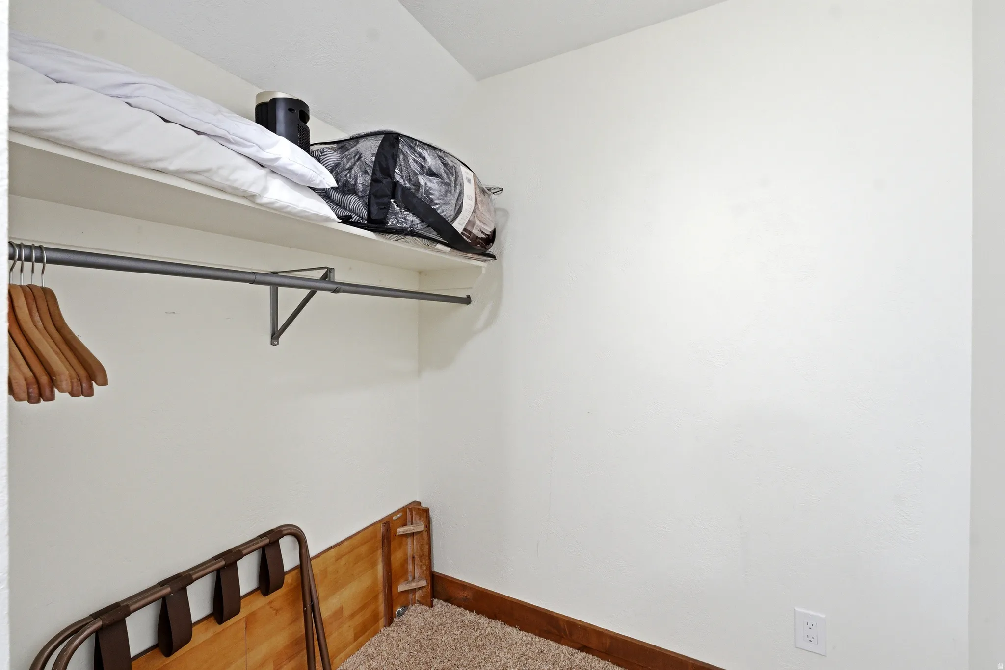 Walk in closet with light carpet