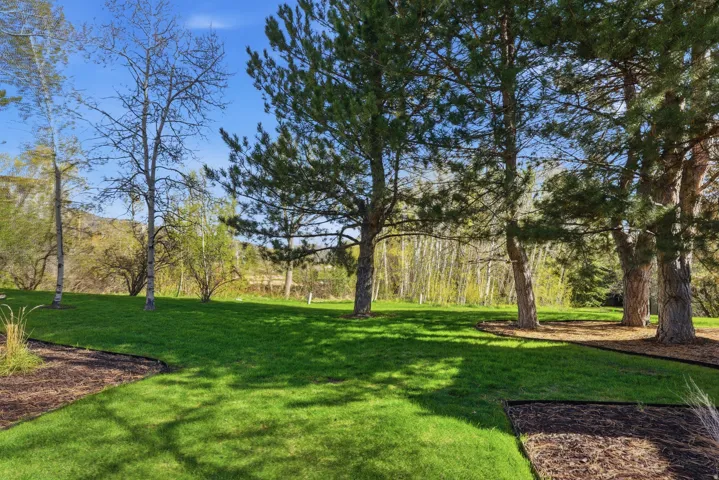 View of grassy yard