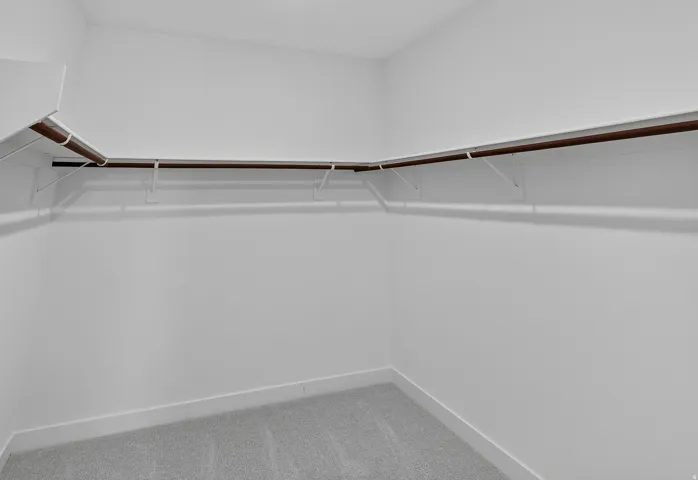 White-painted closet featuring carpeted flooring and an integrated shelving and hanging system
